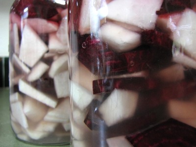 Recipes for fermented drinks